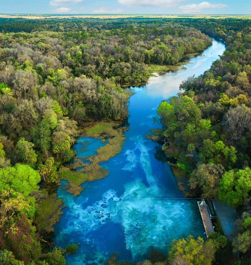 rainbow-springs-state-park-hanser-horse-farms